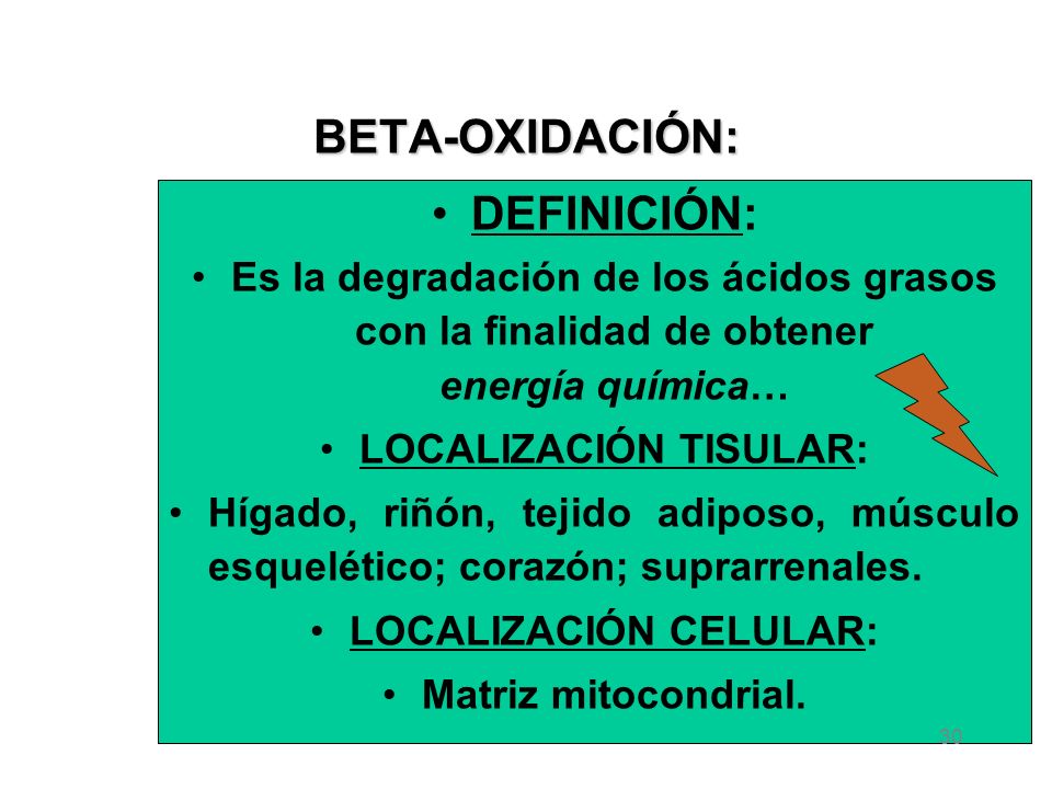 Caracterización de Rab18 en el metabolismo lipídico de adipocitos